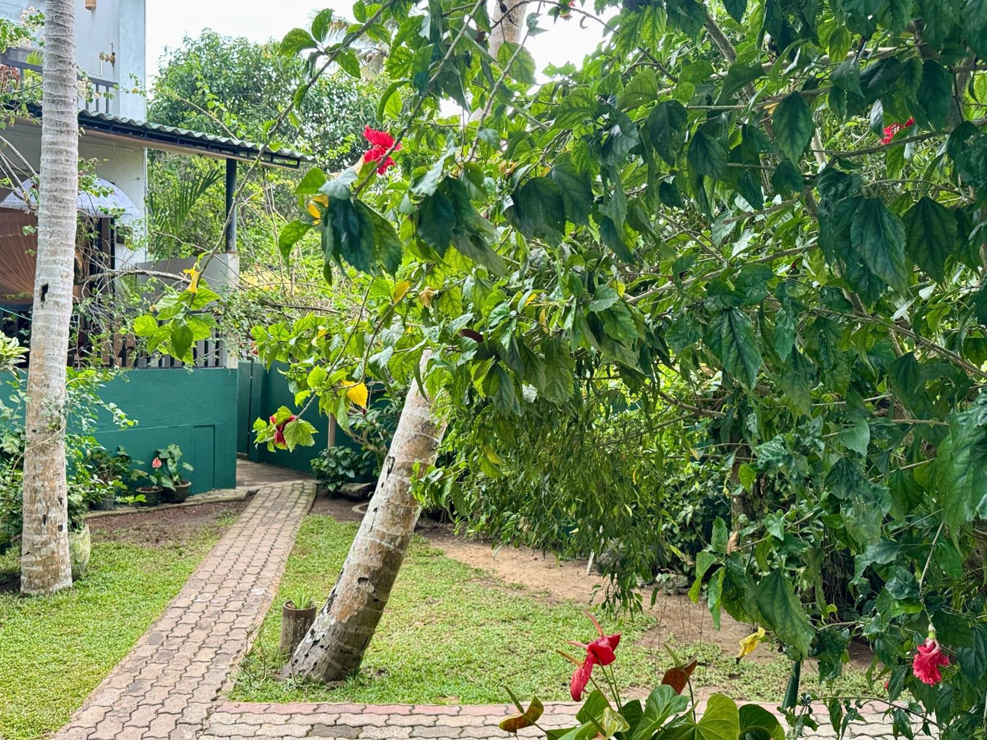 Swastha Ayurveda Villa Hikkaduwa Eksteriør bilde